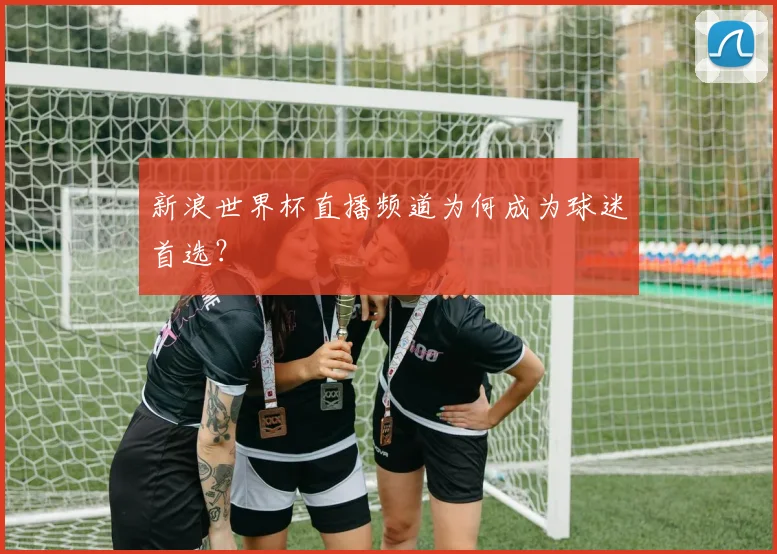 新浪世界杯直播频道为何成为球迷首选?