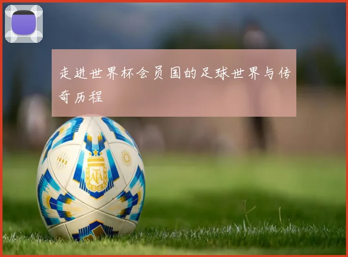 走进世界杯会员国的足球世界与传奇历程
