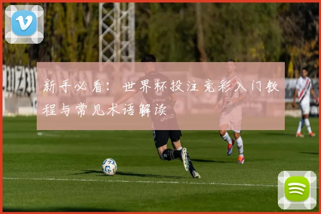 新手必看:世界杯投注竞彩入门教程与常见术语解读