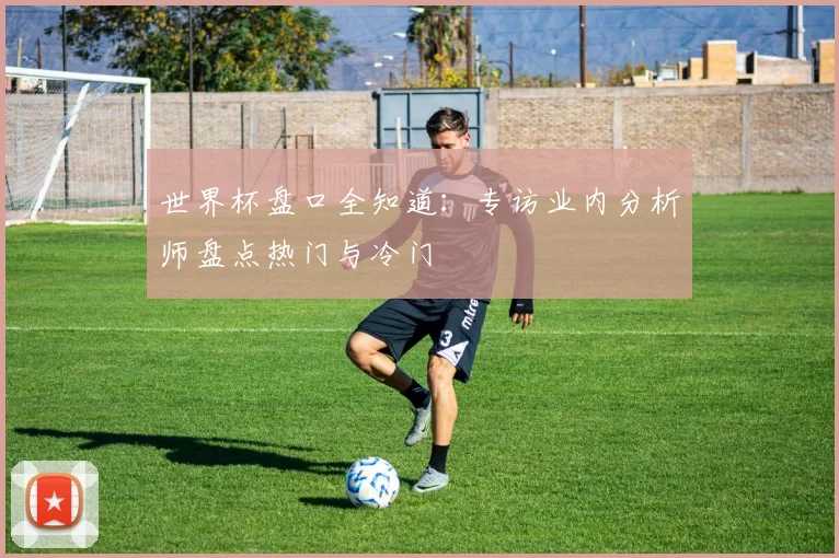 世界杯盘口全知道:专访业内分析师盘点热门与冷门