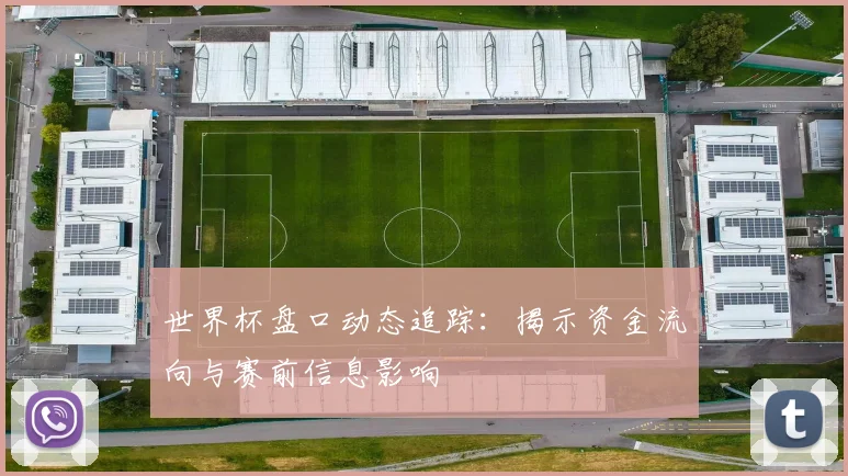 世界杯盘口动态追踪:揭示资金流向与赛前信息影响