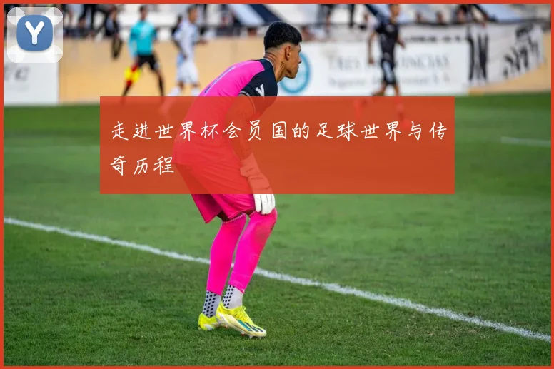 走进世界杯会员国的足球世界与传奇历程
