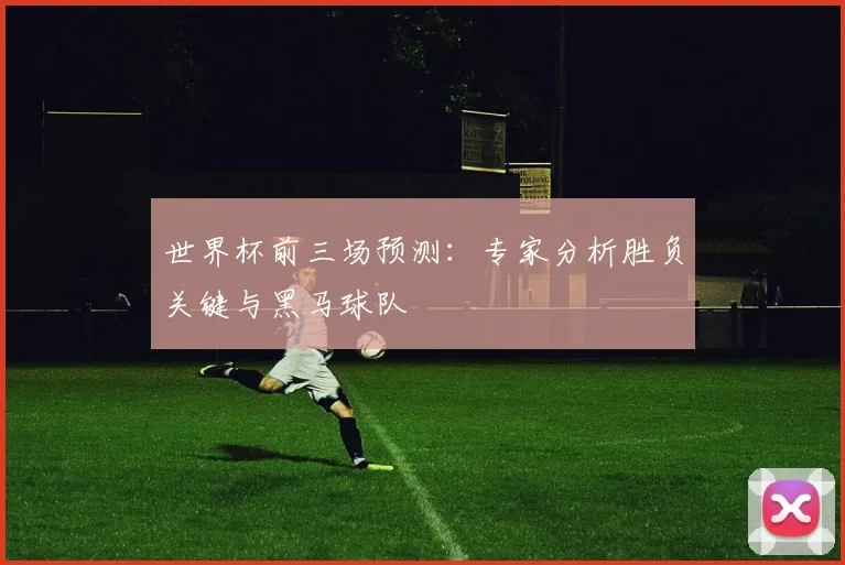 世界杯前三场预测:专家分析胜负关键与黑马球队