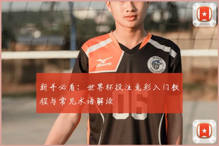 新手必看：世界杯投注竞彩入门教程与常见术语解读
