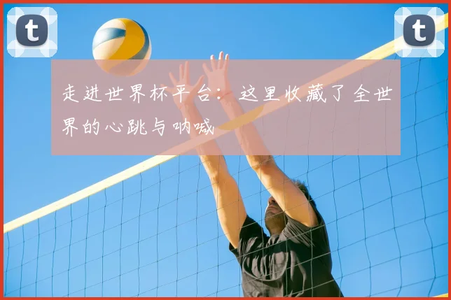 走进世界杯平台:这里收藏了全世界的心跳与呐喊