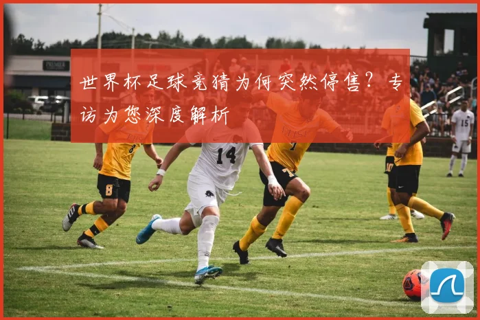 世界杯足球竞猜为何突然停售？专访为您深度解析