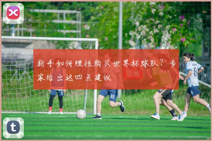 新手如何理性购买世界杯球队?专家给出这四点建议