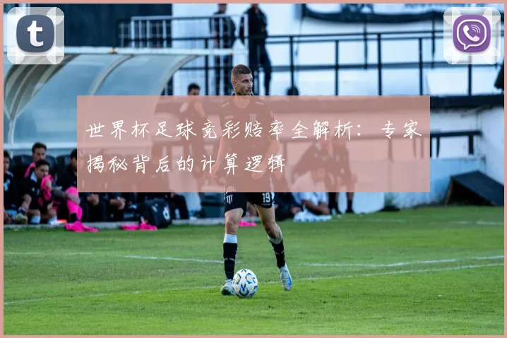 世界杯足球竞彩赔率全解析：专家揭秘背后的计算逻辑